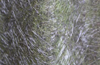 Clapgate fibreglass roof work